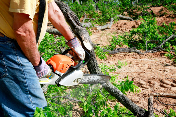 Residential Tree Removal in Moores Mill, AL